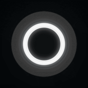 Boîtier — LED verte, clignotement rapide